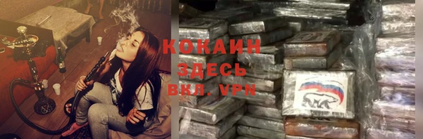ECSTASY Богородицк