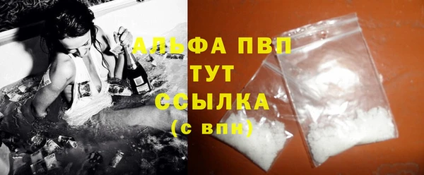ECSTASY Богородицк