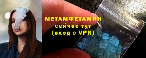 прущие грибы Богданович