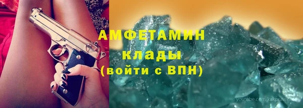 прущие грибы Богданович