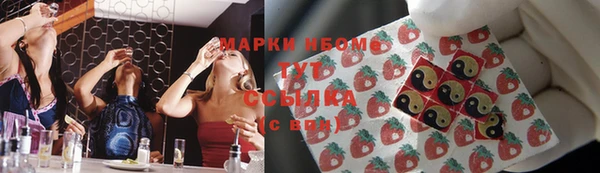 ECSTASY Богородицк