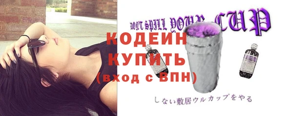 прущие грибы Богданович