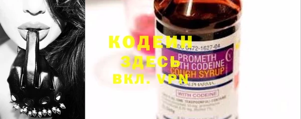 прущие грибы Богданович