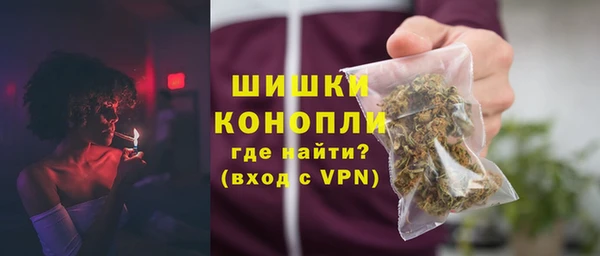 прущие грибы Богданович