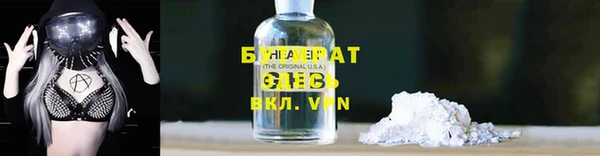 прущие грибы Богданович