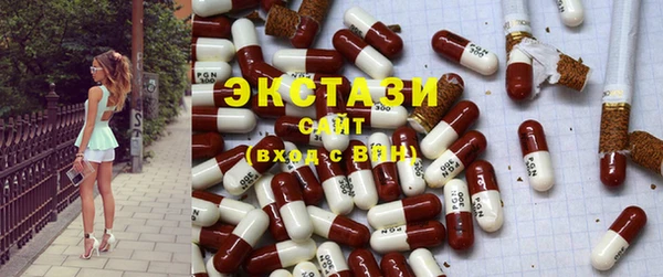 ECSTASY Богородицк