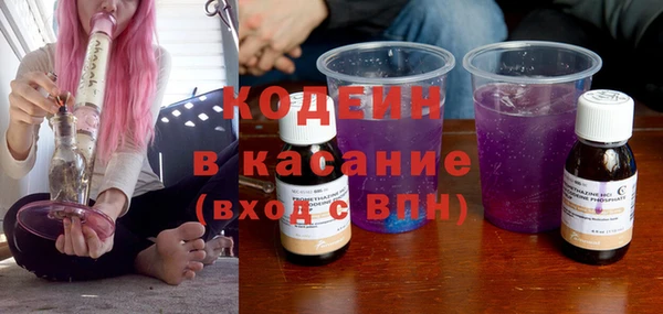 прущие грибы Богданович