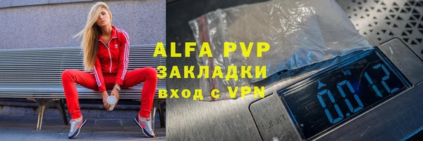 прущие грибы Богданович