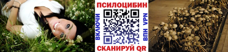 магазин продажи наркотиков  Котельники  Псилоцибиновые грибы мухоморы 